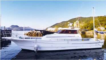 天草　プレジャータイプ